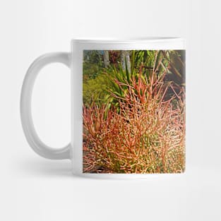 Land Coral Mug